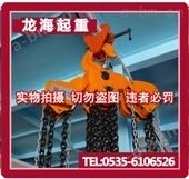 20T手拉葫芦/提升高度3m 大吨位倒链生产厂家【现货】 上海