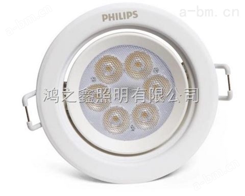 Philips飞利浦皓乐射灯3W5W7W LED*批发