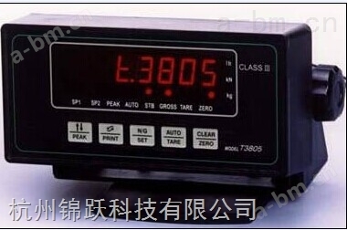 杭州T3806称重仪表