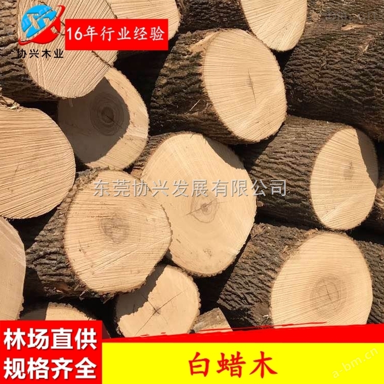 广东白蜡木厂家美国进口白蜡木原木白蜡木板材